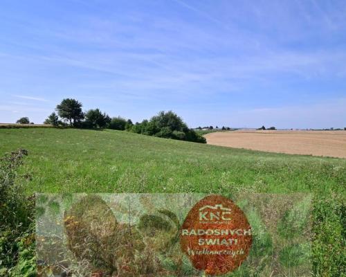 Działka doskonała pod inwestycję - Nałęczów - 14ar