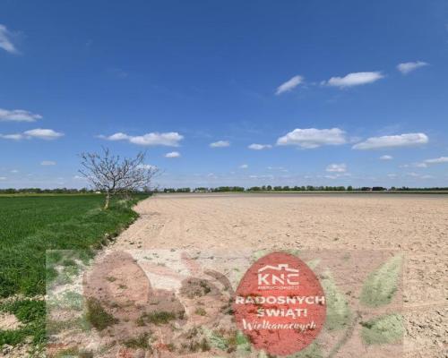 Stoczek Kol. - Duża działka w doskonałej lok.