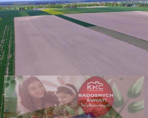 Stoczek Kol. - Duża działka w doskonałej lok.