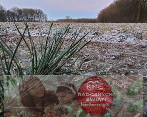 30a w doskonałej lokalizacji pod Kazimierzem D