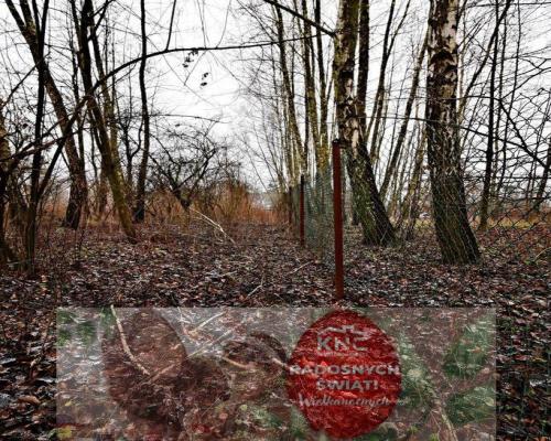 30a w doskonałej lokalizacji pod Kazimierzem D