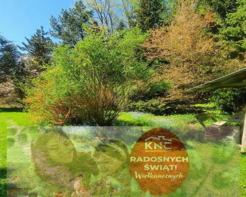 Działka, Zemborzyce Tereszyńskie, 57 ar