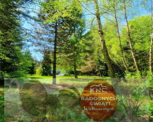 Działka, Zemborzyce Tereszyńskie, 57 ar