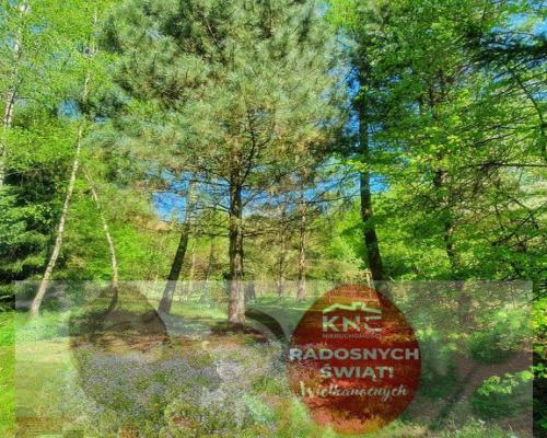 Działka, Zemborzyce Tereszyńskie, 57 ar