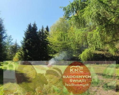 Działka, Zemborzyce Tereszyńskie, 57 ar