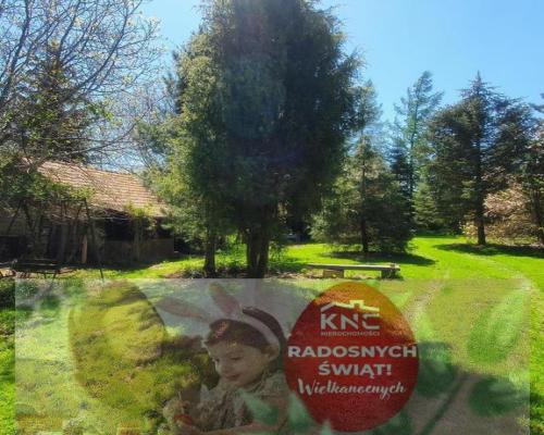 Działka, Zemborzyce Tereszyńskie, 57 ar