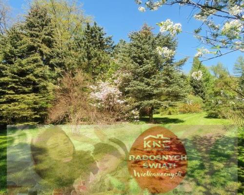 Działka, Zemborzyce Tereszyńskie, 57 ar