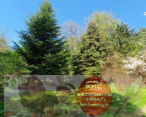 Działka, Zemborzyce Tereszyńskie, 57 ar