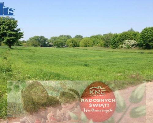 Aleja Kraśnicka/Bełżycka, Dzielnica Węglin,