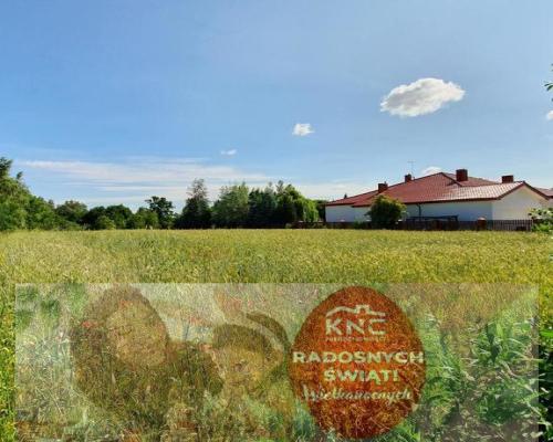 Dąbrowica, gm.Jastków. Plan zagospodarowania,media