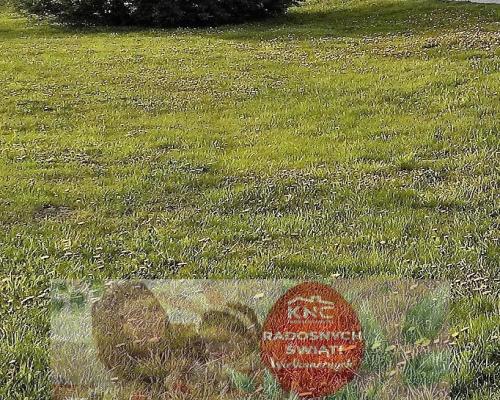 Dąbrowica, gm.Jastków. Plan zagospodarowania,media