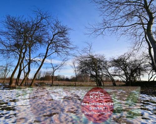 Gm. Wąwolnica - 100ar z projektem domu.