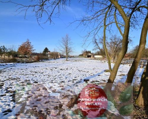 Gm. Wąwolnica - 100ar z projektem domu.