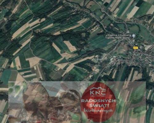 Gm. Wąwolnica - 100ar z projektem domu.