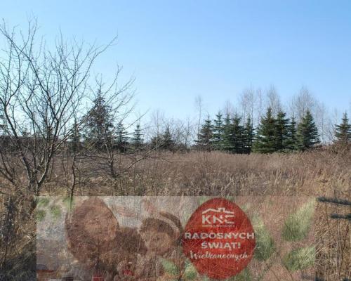 Działka w okolicy ulicy Zelwerowicza.