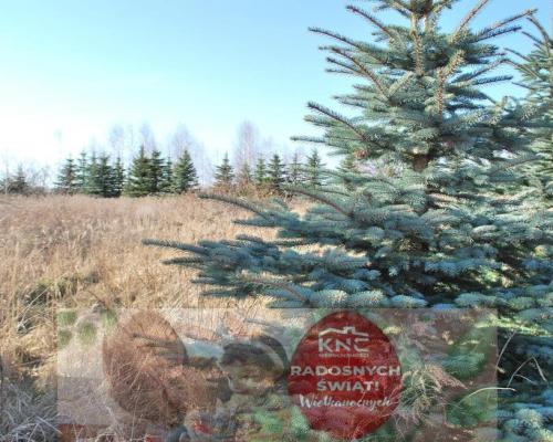 Działka w okolicy ulicy Zelwerowicza.