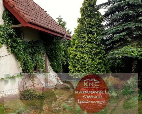 Piękna willa w mieście