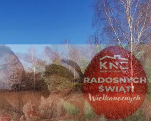 Piękna działka rekreacyjna na zaciszu - Karczmiska