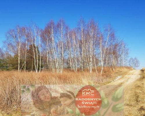 Piękna działka rekreacyjna na zaciszu - Karczmiska