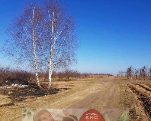 Piękna działka rekreacyjna na zaciszu - Karczmiska