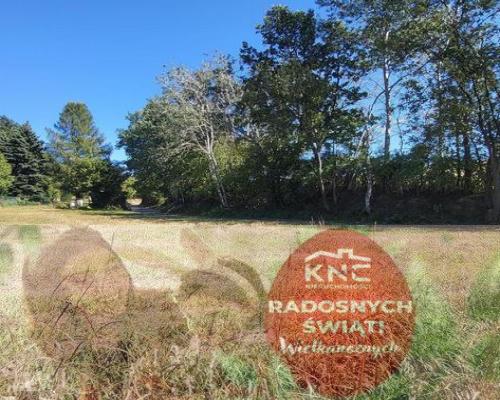 Piękna działka z WZ o nieszablonowym kształcie