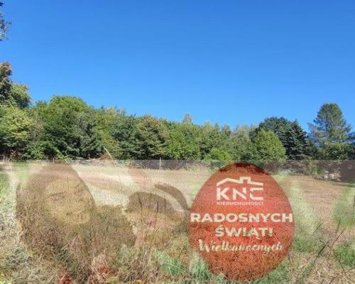 Piękna działka z WZ o nieszablonowym kształcie