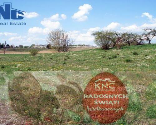 Sprzedam grunt rolny!