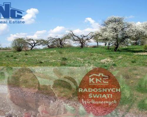 Sprzedam grunt rolny!