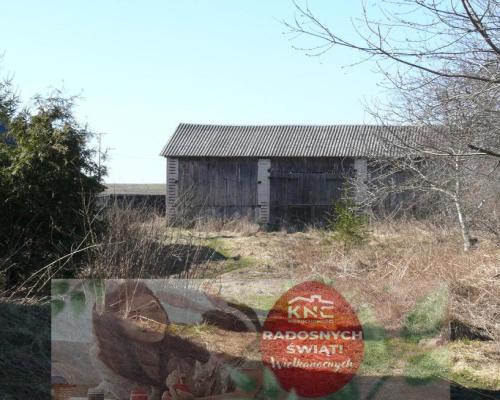 Jabłonna Druga - duża działka z domem + bud gosp!