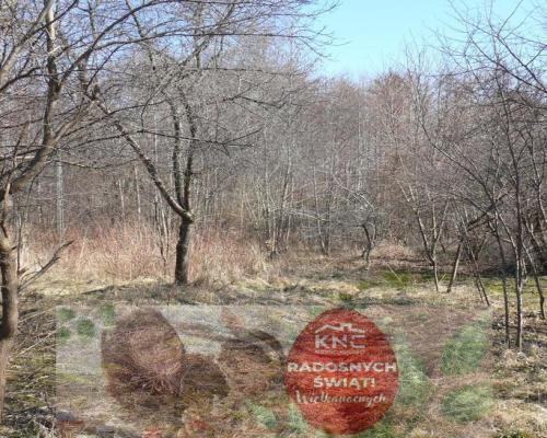 Jabłonna Druga - duża działka z domem + bud gosp!