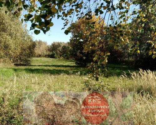 Piotrowice - działka 20 arów w doskonałej cenie!