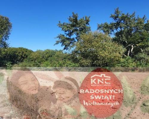 10 ar Konopnica - na zaciszu.