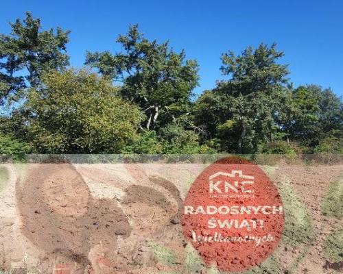 10 ar Konopnica - na zaciszu.