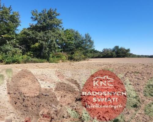 10 ar Konopnica - na zaciszu.