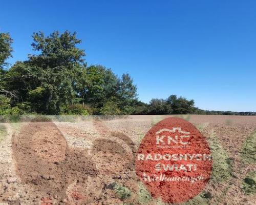 10 ar Konopnica - na zaciszu.