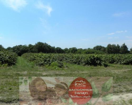 Działka budowlana Głusk!!!