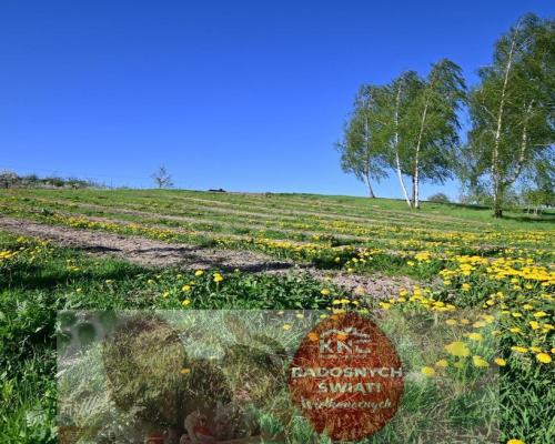 Karczmiska I 12 km od Kazimierza Dolnego