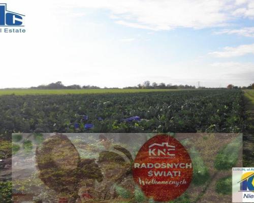 Działka inwestycyjna, 40 ar, Świdnik, przy Lotnisku. Działka w planie zagospodarowania przestrzennego przewidziana pod aktywnoś