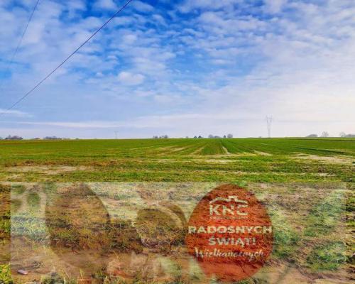 Działka 14ar pod zab. jednorodzinną - Zemborzyce