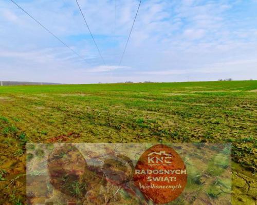 Działka 14ar pod zab. jednorodzinną - Zemborzyce