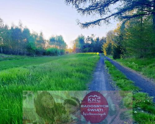 Zemborzyce Podleśne - 32 ary OKAZJA!!!