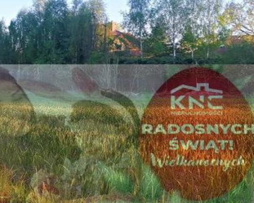 Zemborzyce Podleśne - 32 ary OKAZJA!!!