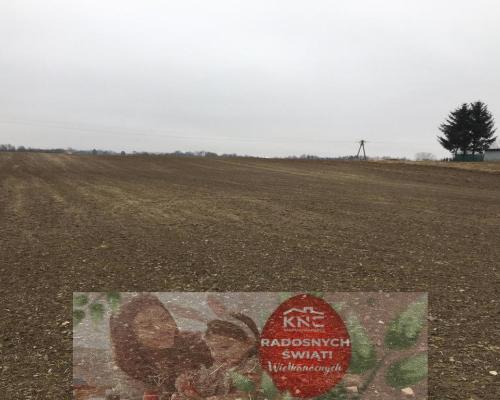 Działka 1.84ha Tomaszowice- Kolonia