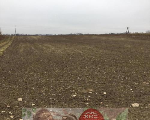 Działka 1.84ha Tomaszowice- Kolonia