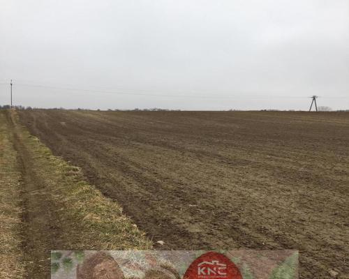 Działka 1.84ha Tomaszowice- Kolonia