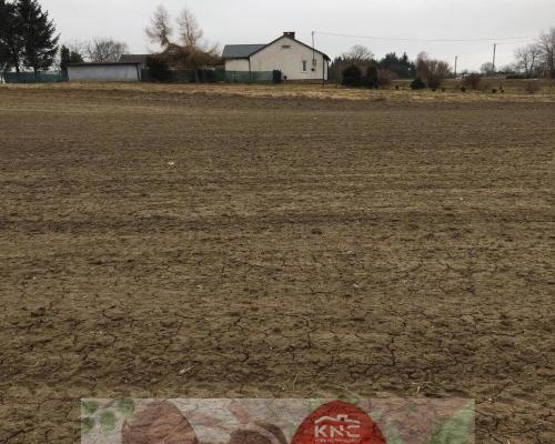 Działka 1.84ha Tomaszowice- Kolonia