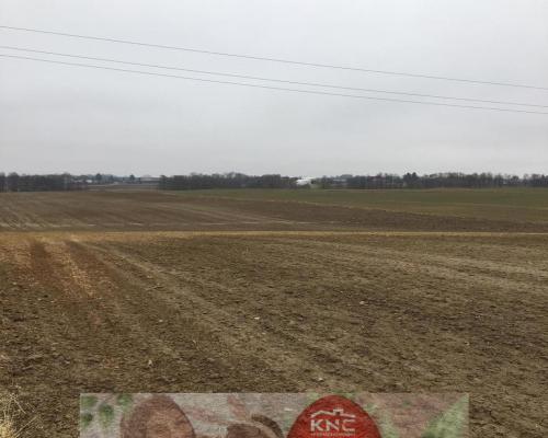 Działka 1.84ha Tomaszowice- Kolonia