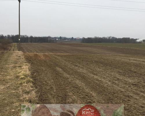 Działka 1.84ha Tomaszowice- Kolonia