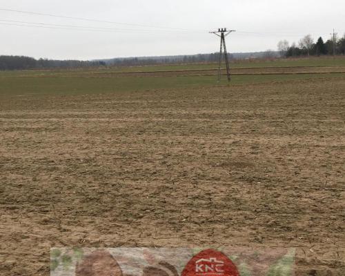 Działka 1.84ha Tomaszowice- Kolonia