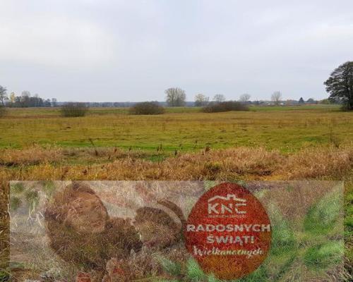 Grunt w Samoklęskach, gmina Kamionka, 22ar!